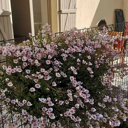 Maison De Chaleureuse, Terrasse - 6 Pers. - Fr-1-589-859 Séjour à la campagne